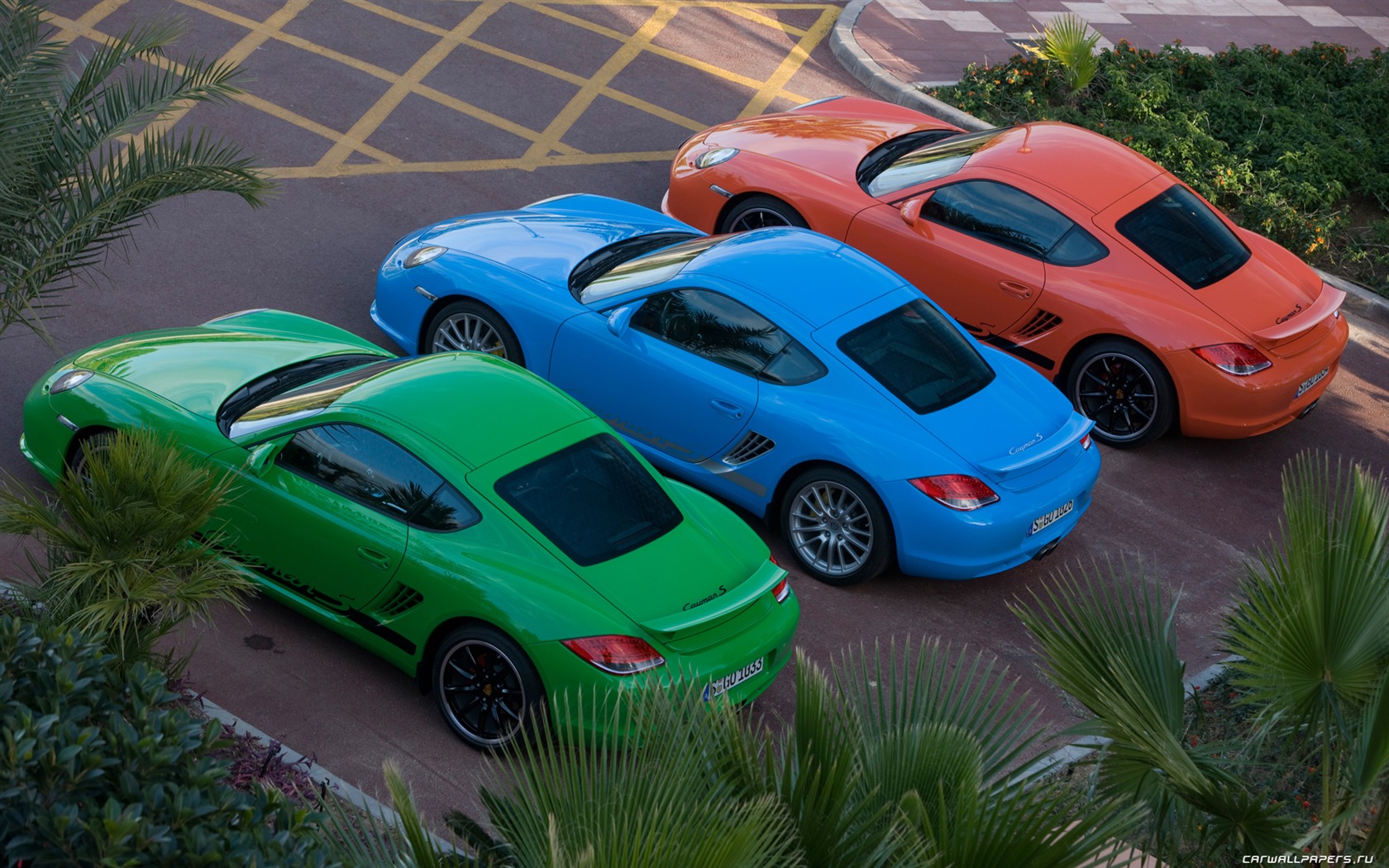 Porsche Cayman S - 2009 HD tapetu #26 - 1680x1050