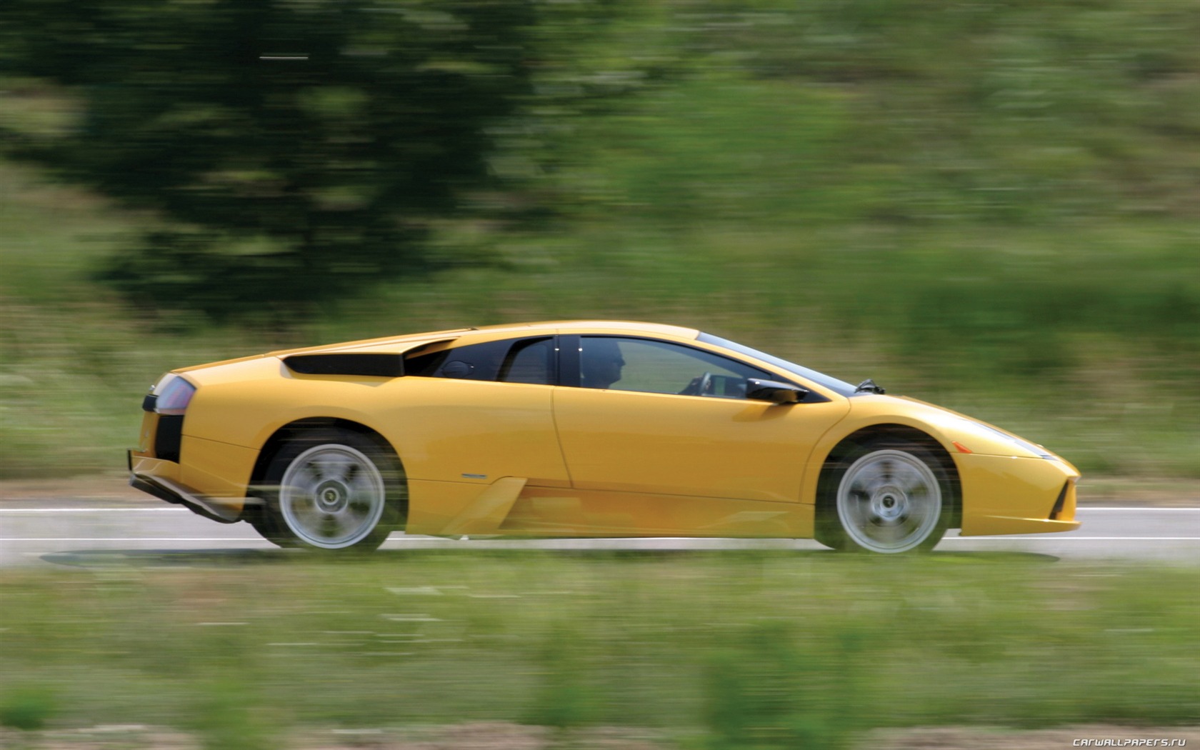 Lamborghini Murcielago - 2001 兰博基尼(二)4 - 1680x1050