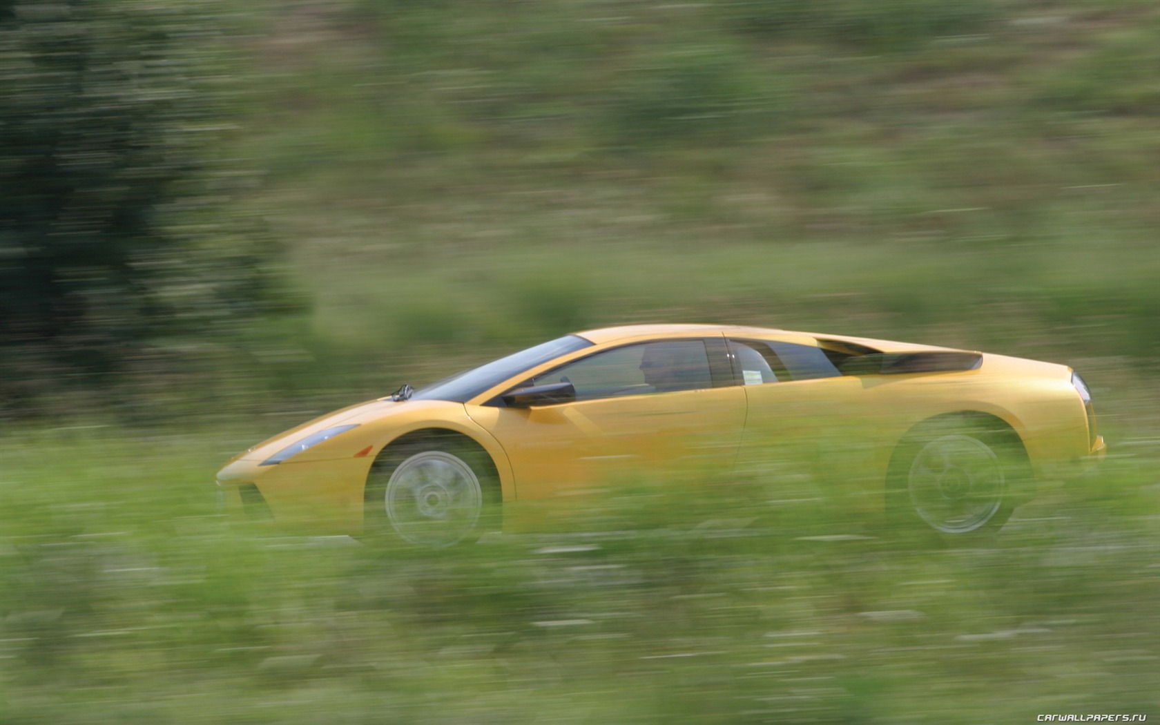 Lamborghini Murcielago - 2001 兰博基尼(二)5 - 1680x1050