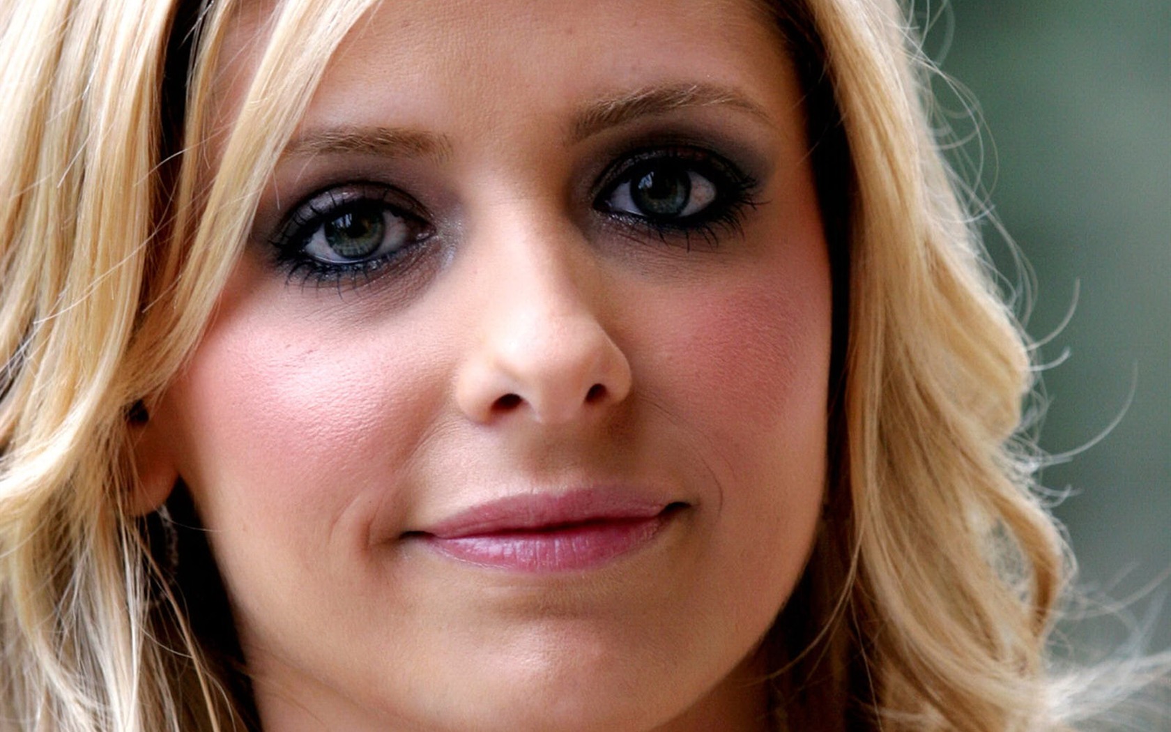 Sarah Michelle Gellar hermosos fondos de escritorio (2) #33 - 1680x1050