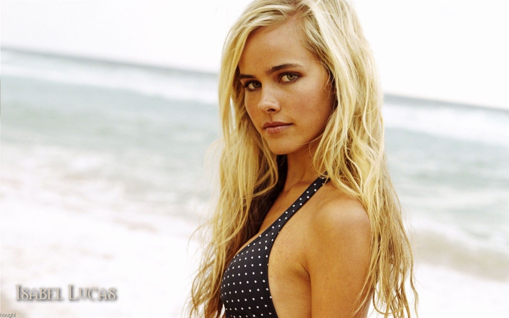 Isabel Lucas 伊莎贝尔·卢卡斯 美女壁纸1 - 1680x1050