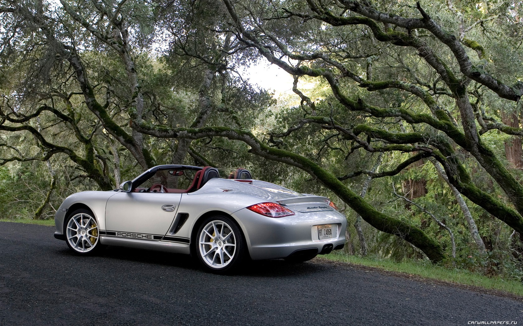Porsche Boxster Spyder - 2010 HD tapetu #37 - 1680x1050
