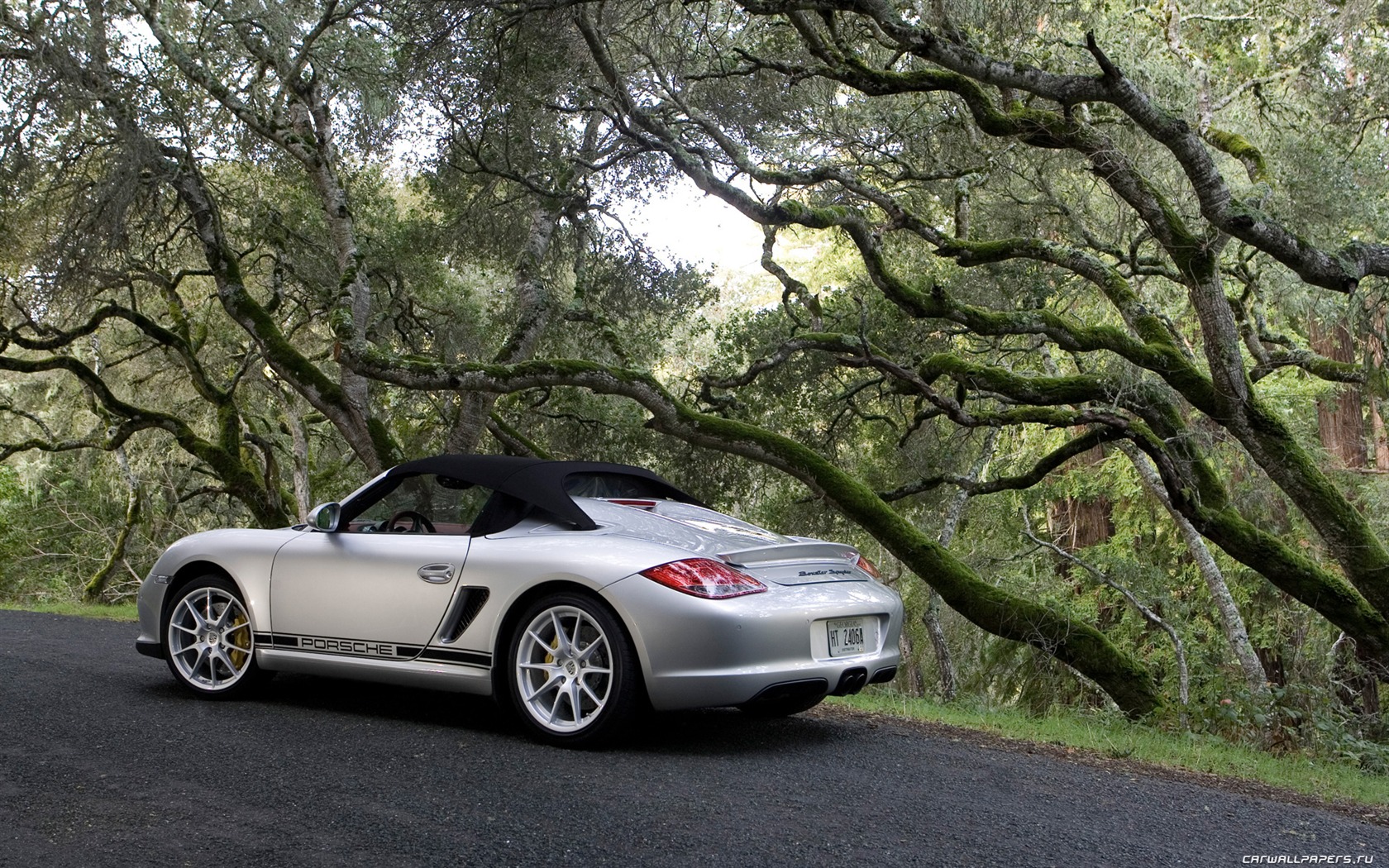 Porsche Boxster Spyder - 2010 HD tapetu #38 - 1680x1050