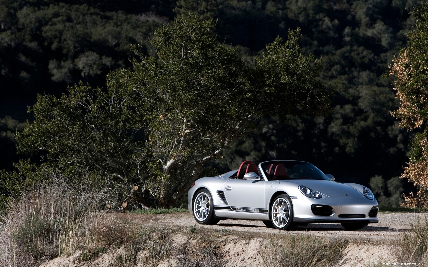Porsche Boxster Spyder - 2010 HD tapetu #47 - 1680x1050