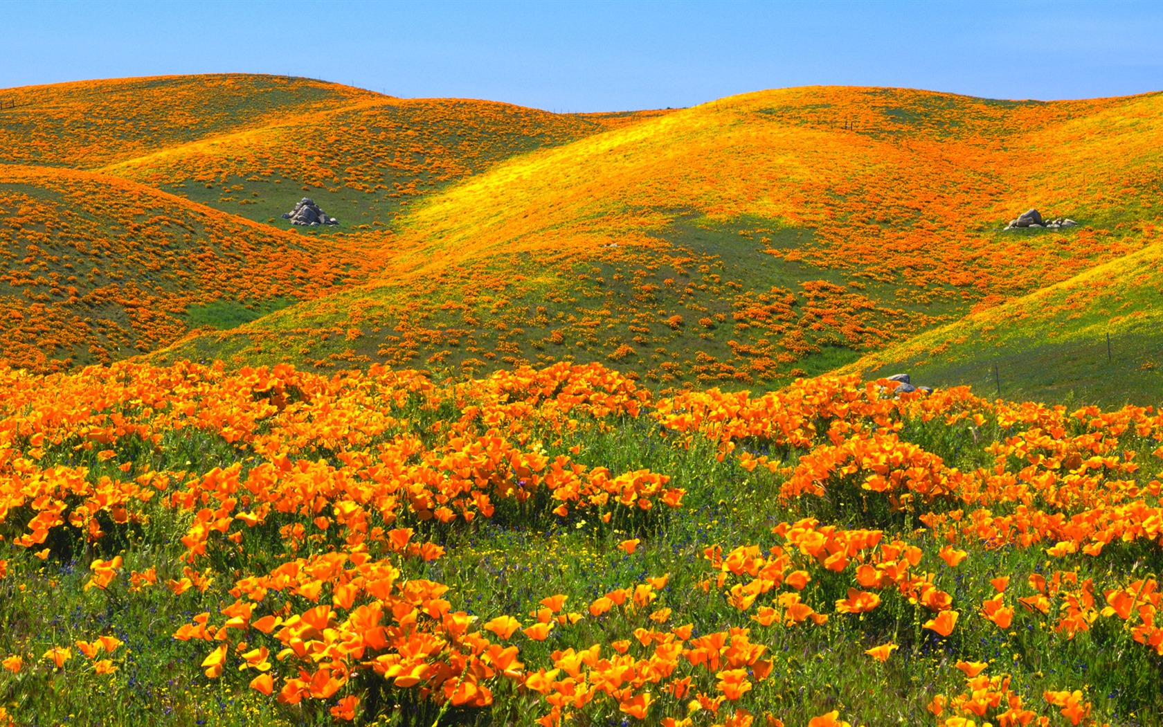Scenery Collection Wallpapers (62) #6 - 1680x1050