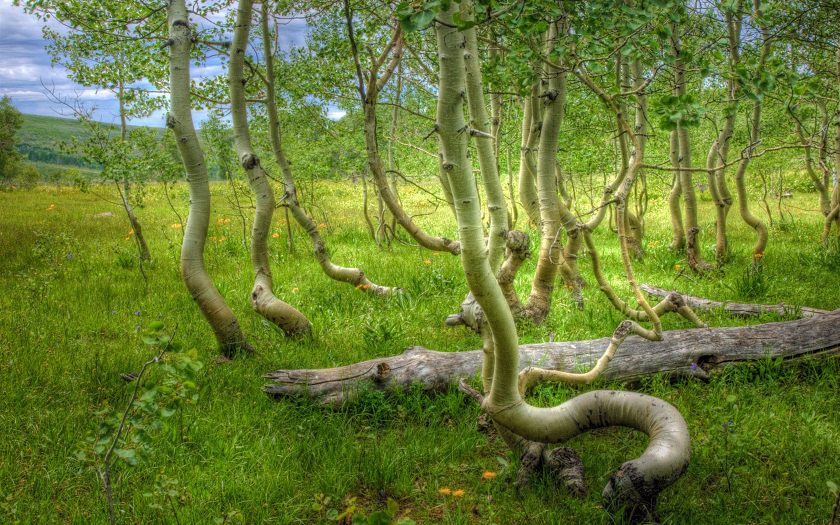 Wallpaper World geographical scenery Posts (8) #19 - 1680x1050