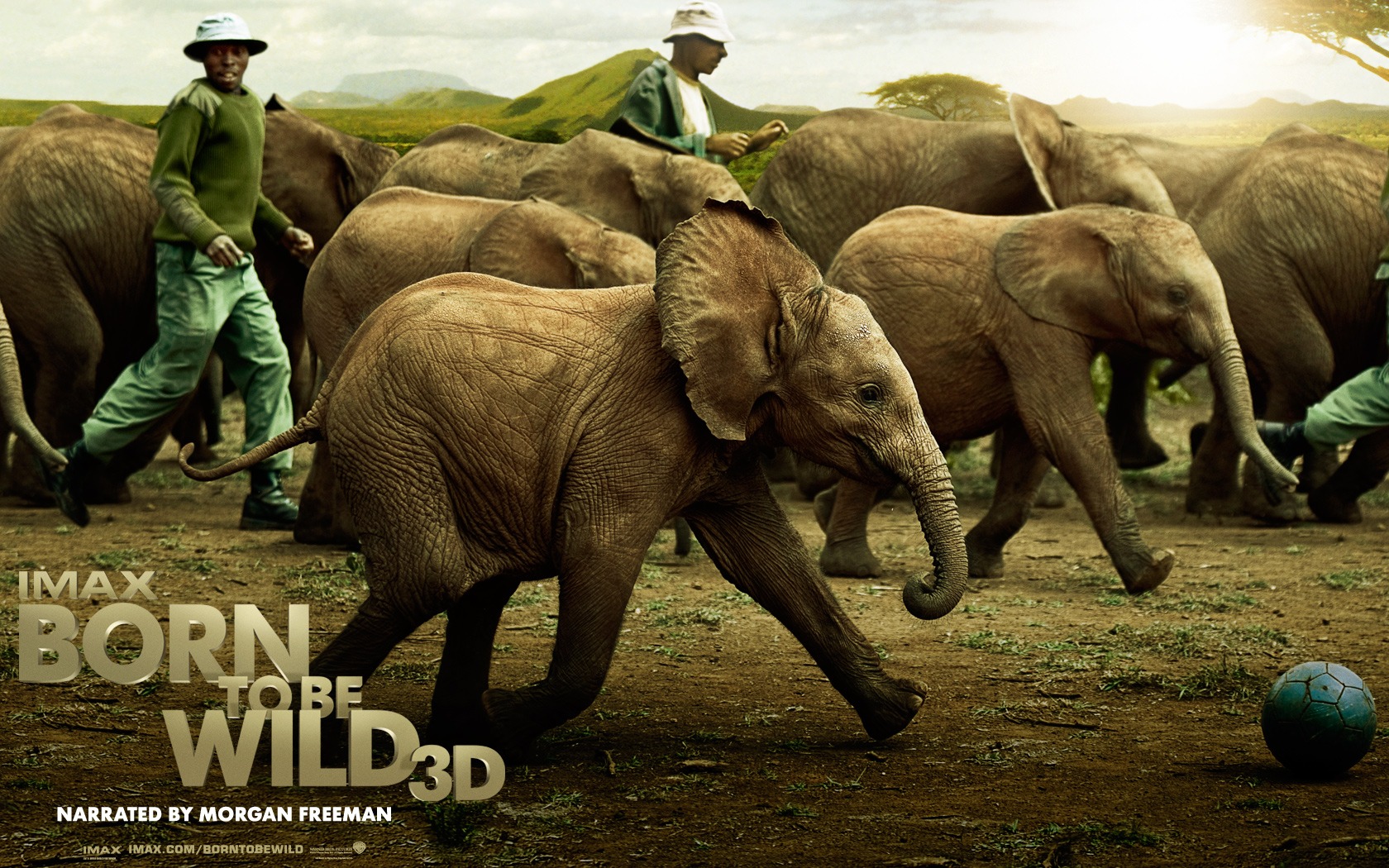 Born To Be Wild tapety na plochu #4 - 1680x1050