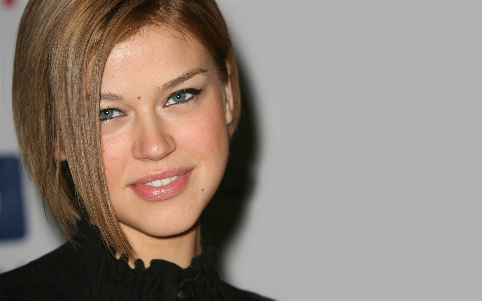 Adrianne Palicki 阿德琳妮·帕里奇 美女壁紙 #2 - 1680x1050