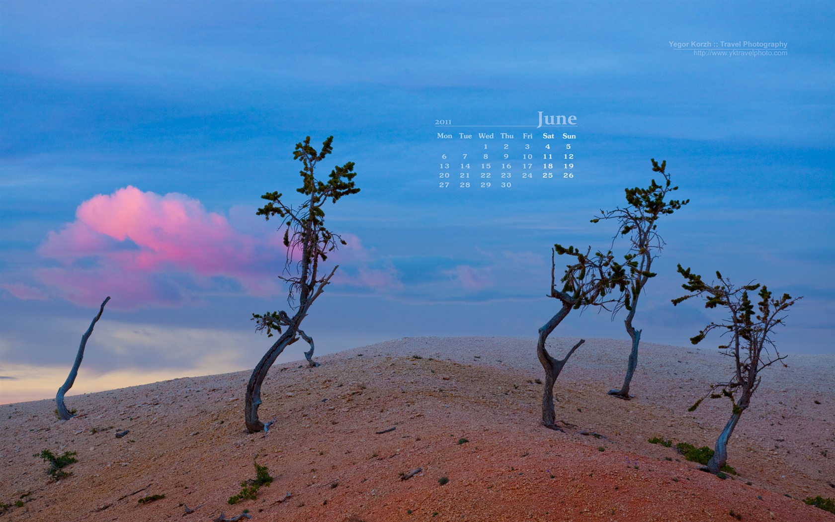 2011年6月 月曆壁紙(一) #4 - 1680x1050