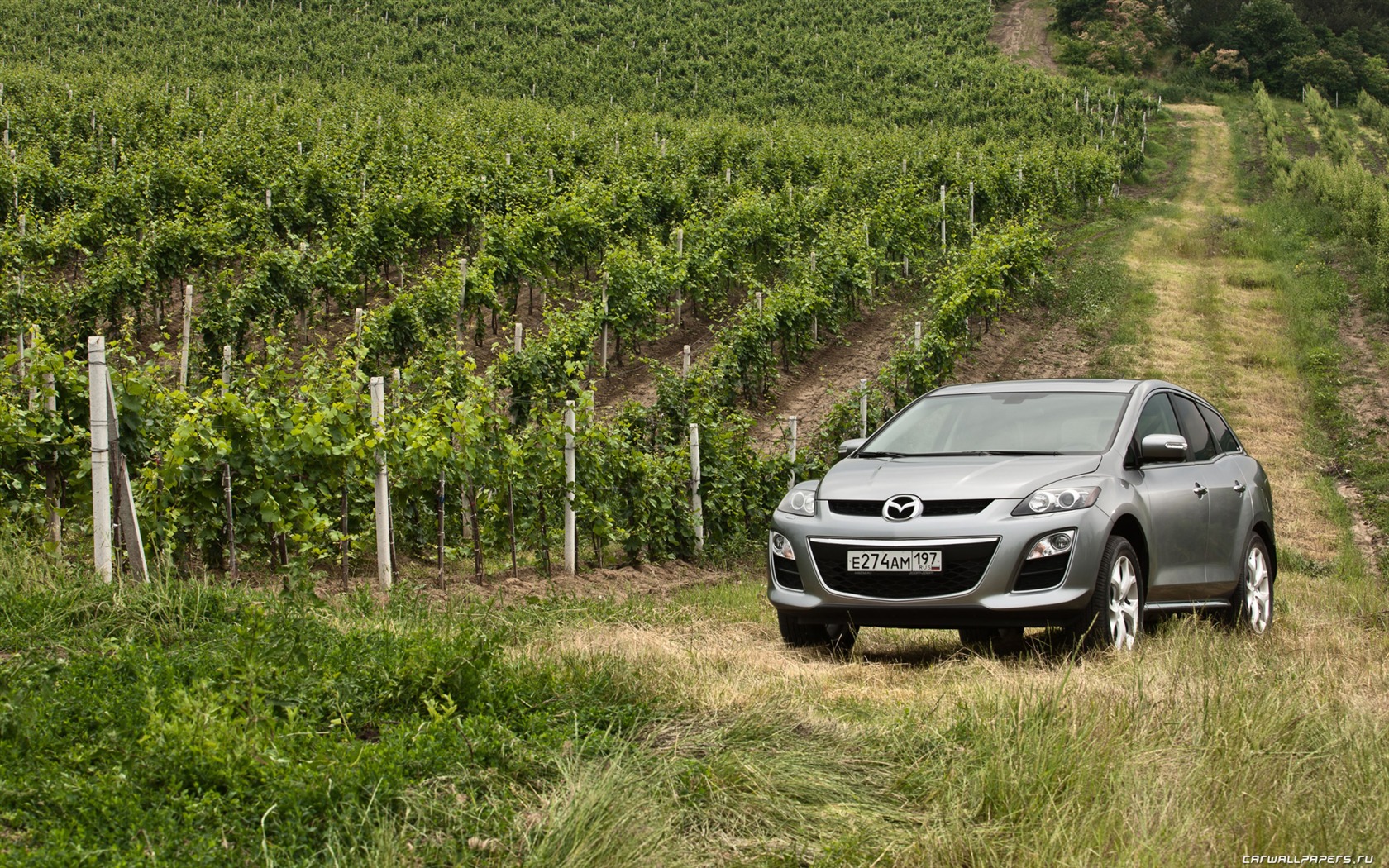 Mazda CX-7 - 2010 HD wallpaper #53 - 1680x1050
