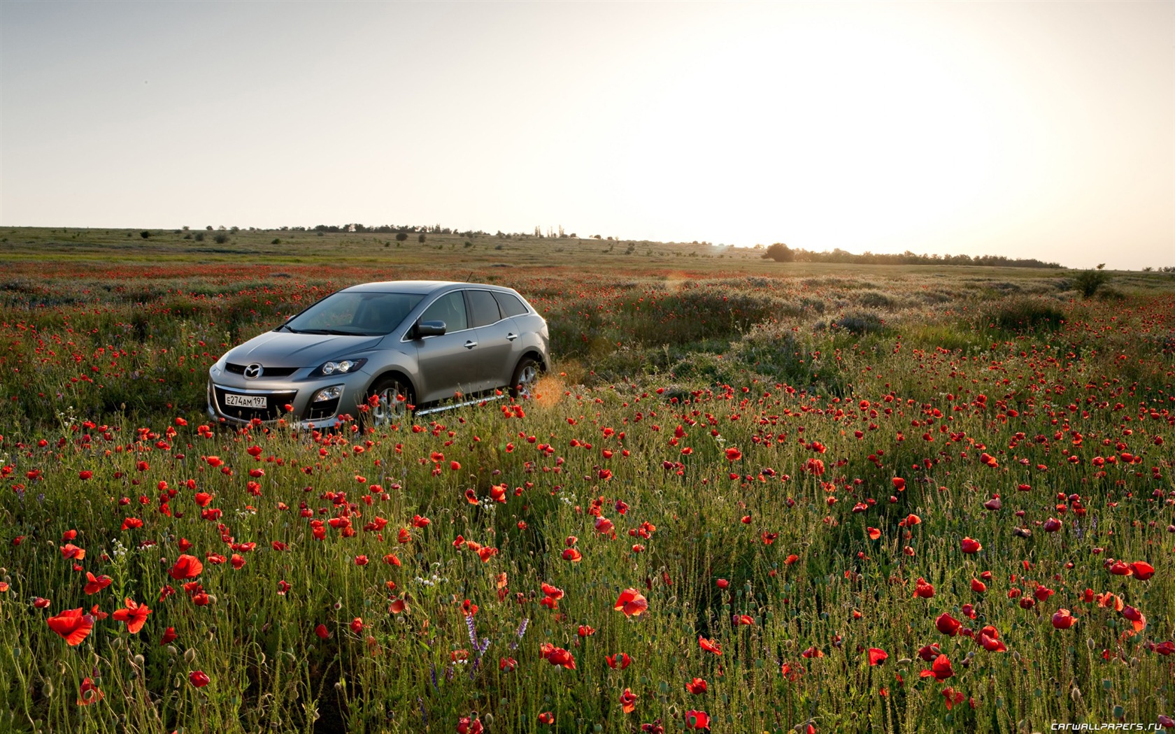 Mazda CX-7 - 2010 馬自達 #57 - 1680x1050
