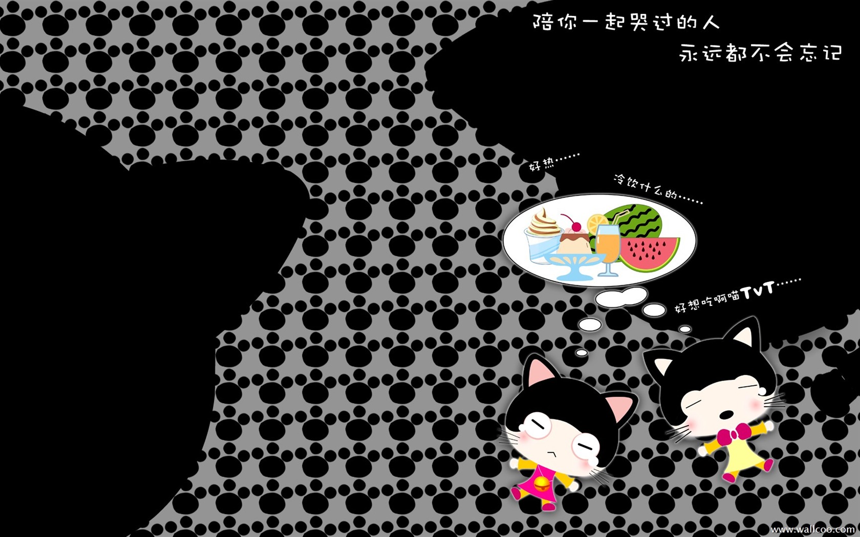 貓咪寶貝 卡通壁紙(一) #3 - 1680x1050