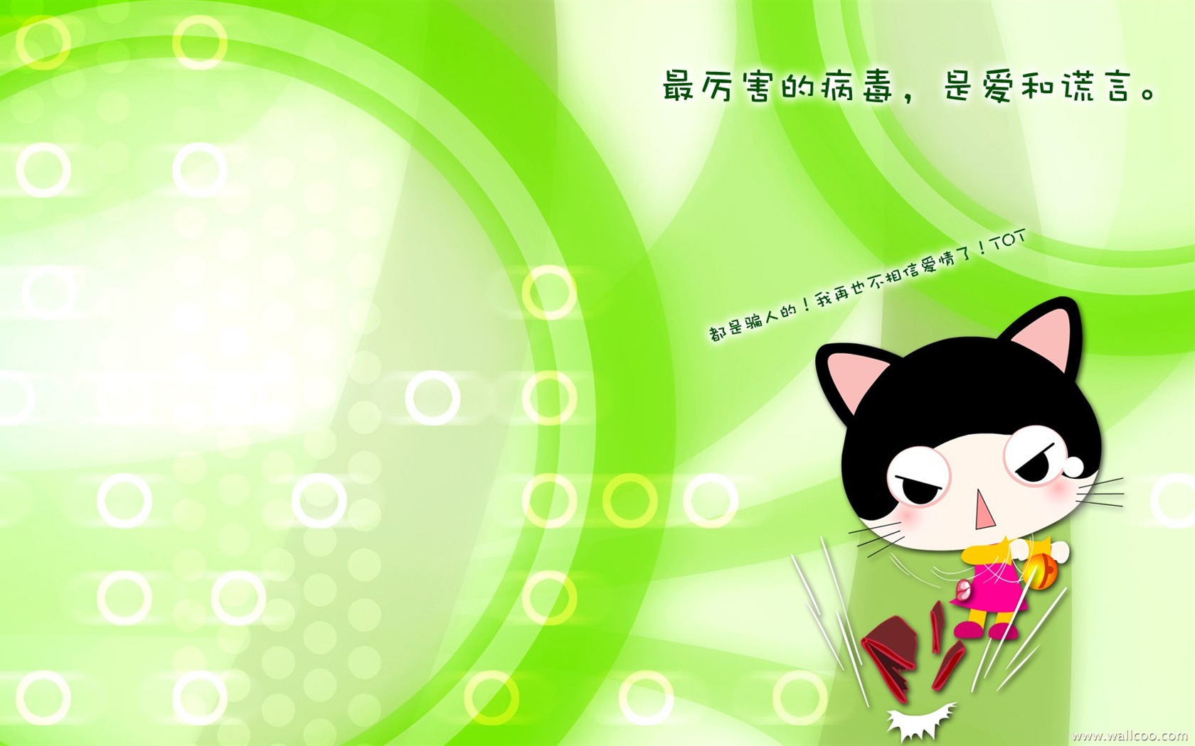 貓咪寶貝 卡通壁紙(一) #15 - 1680x1050
