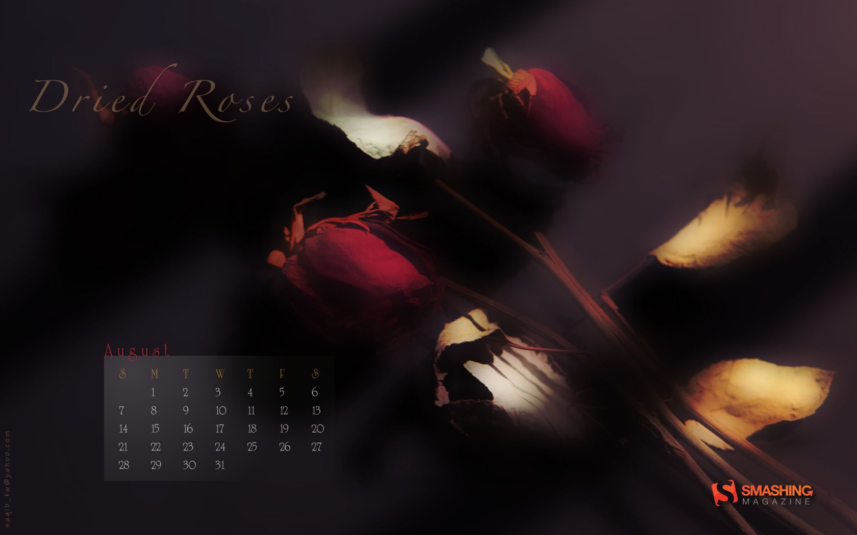 August 2011 calendar wallpaper (1) #14 - 1680x1050