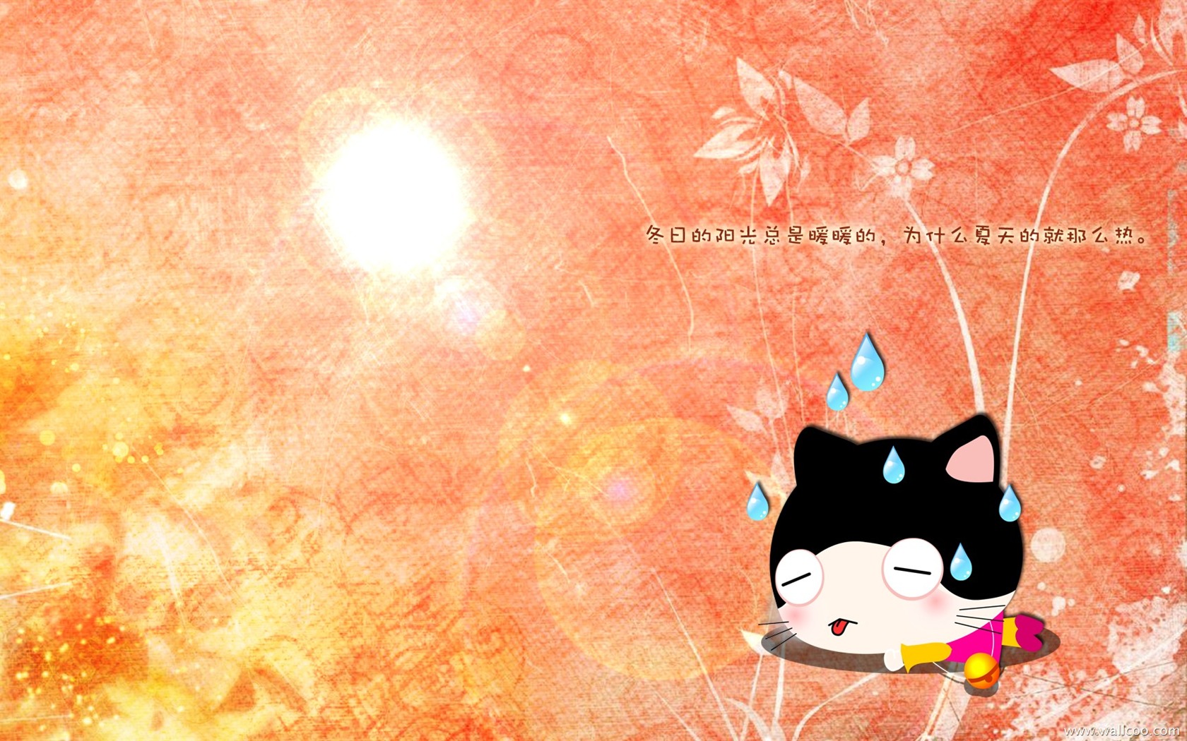 Baby cat cartoon wallpaper (3) #13 - 1680x1050