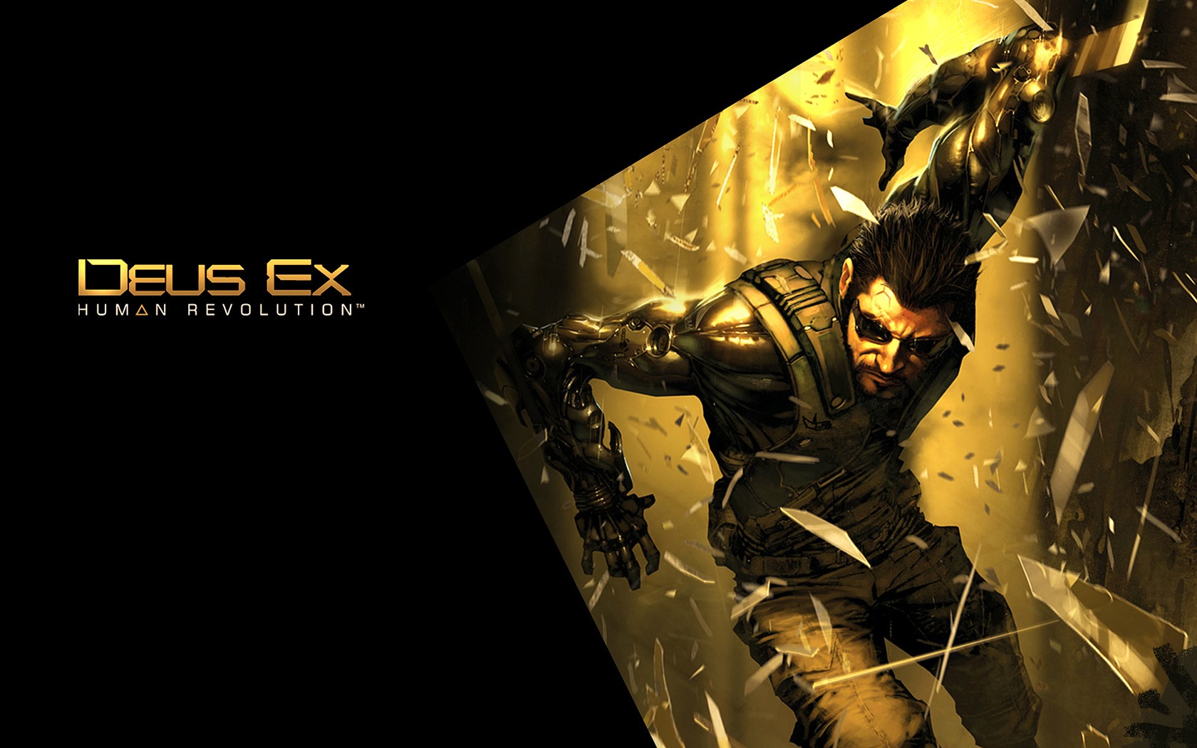 Deus Ex: Human Revolution HD Tapety na plochu #13 - 1680x1050