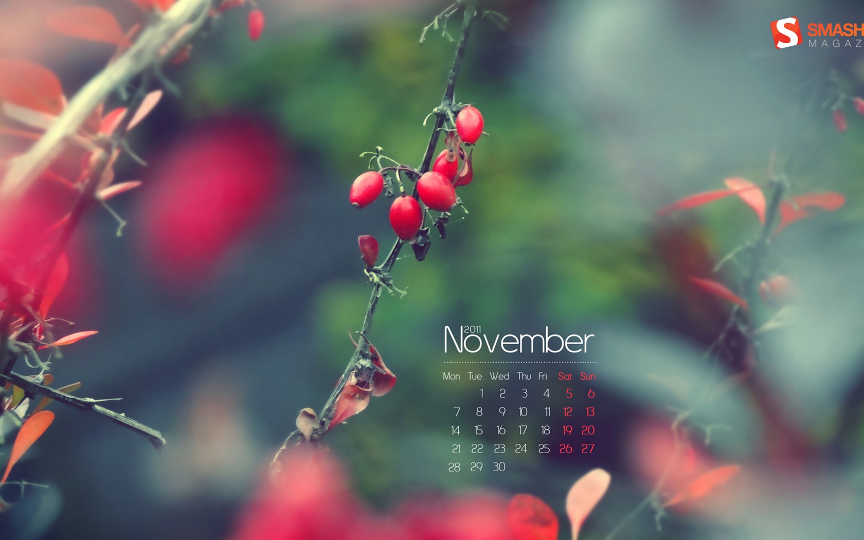 November 2011 Calendar wallpaper (1) #7 - 1680x1050