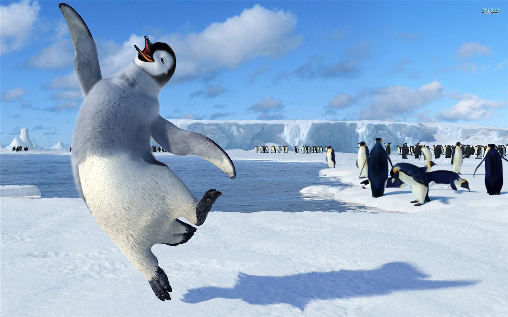 Happy Feet Two 快乐的大脚2 高清壁纸3 - 1680x1050