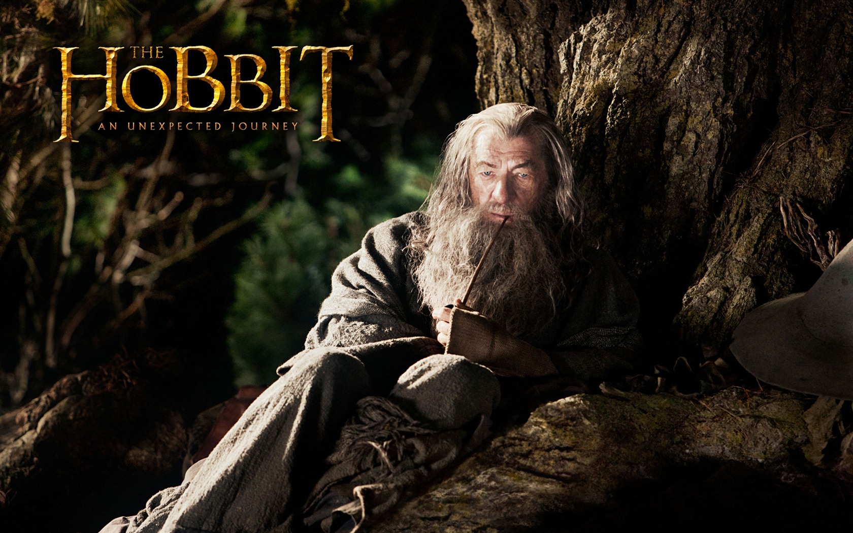The Hobbit: An Unexpected Journey HD wallpapers #10 - 1680x1050