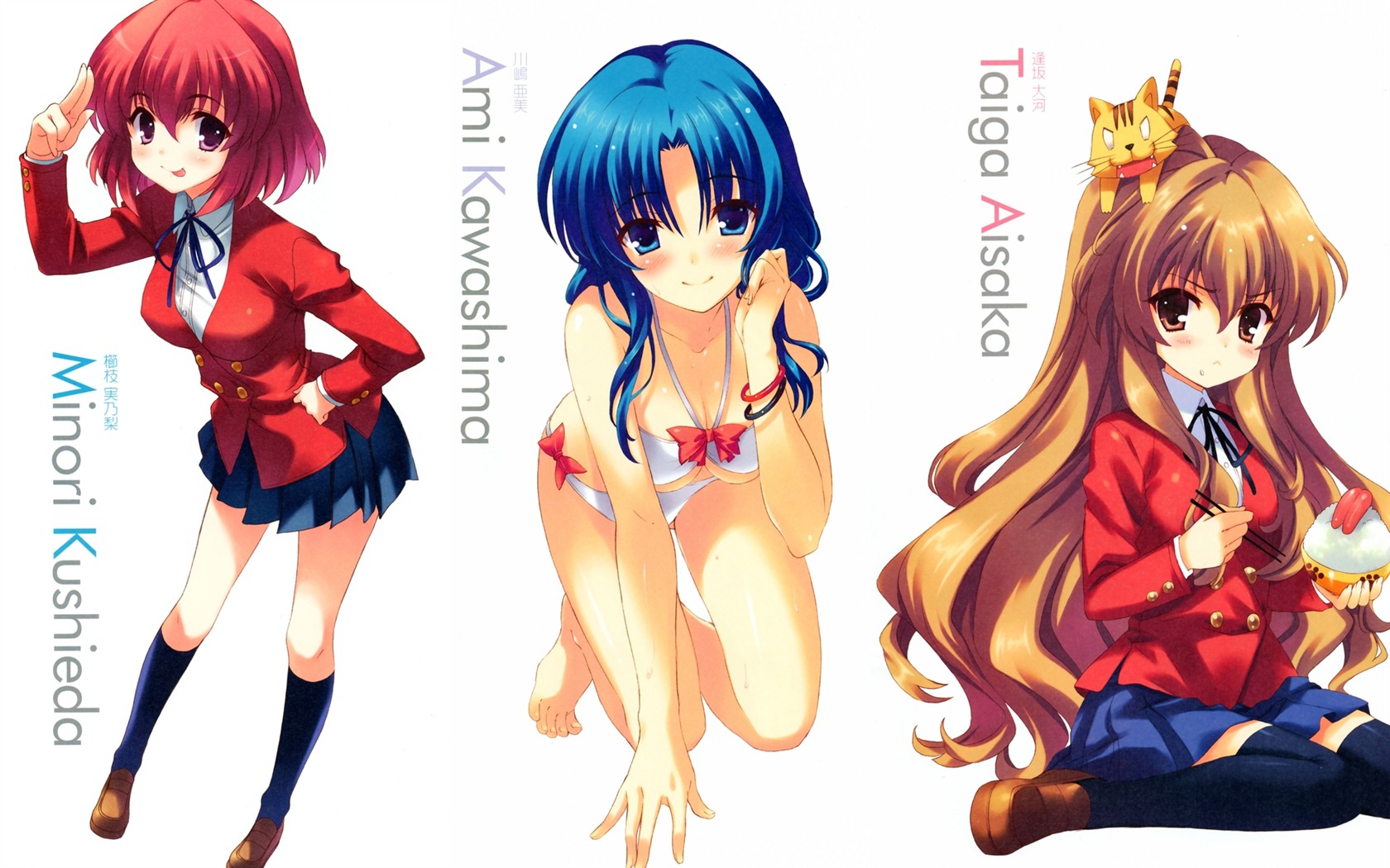 Toradora 龍與虎 高清壁紙 #21 - 1680x1050