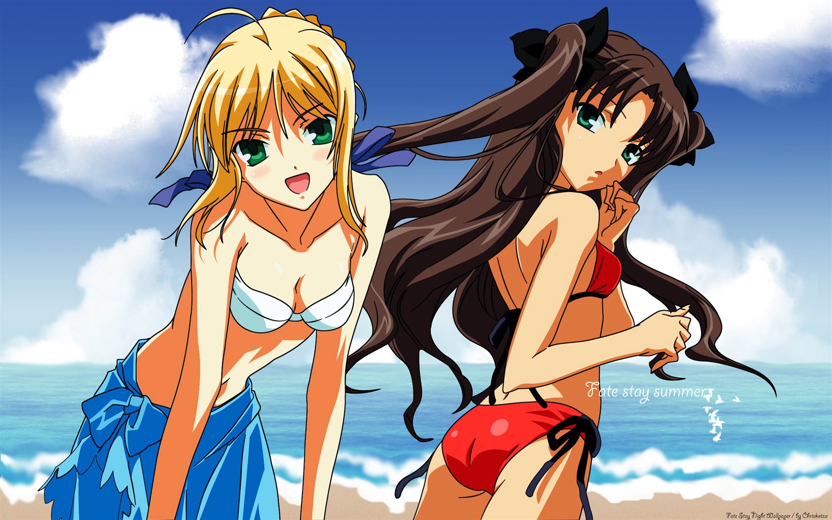 Fate Stay Night HD tapety na plochu #4 - 1680x1050