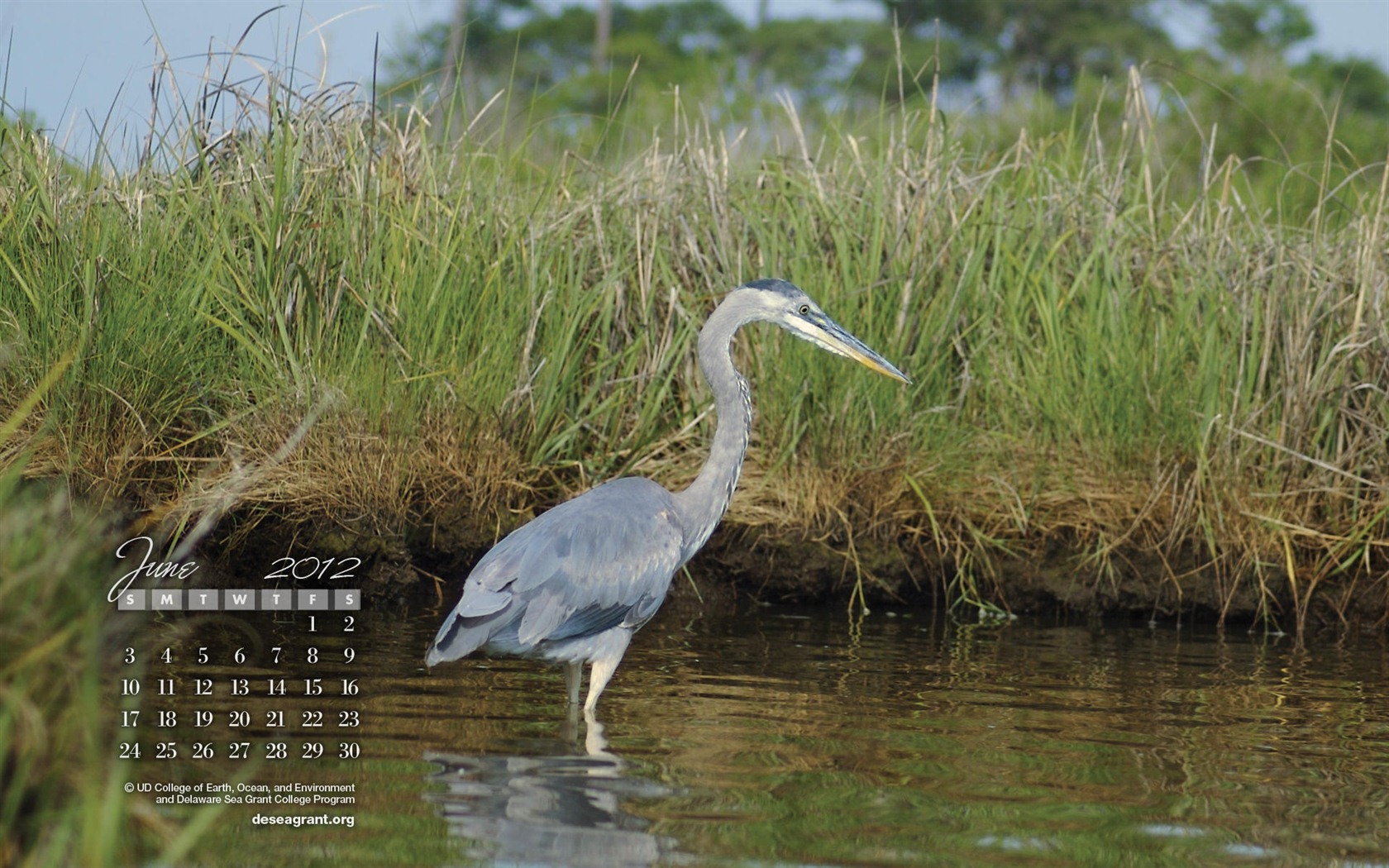 June 2012 Calendar wallpapers (1) #10 - 1680x1050