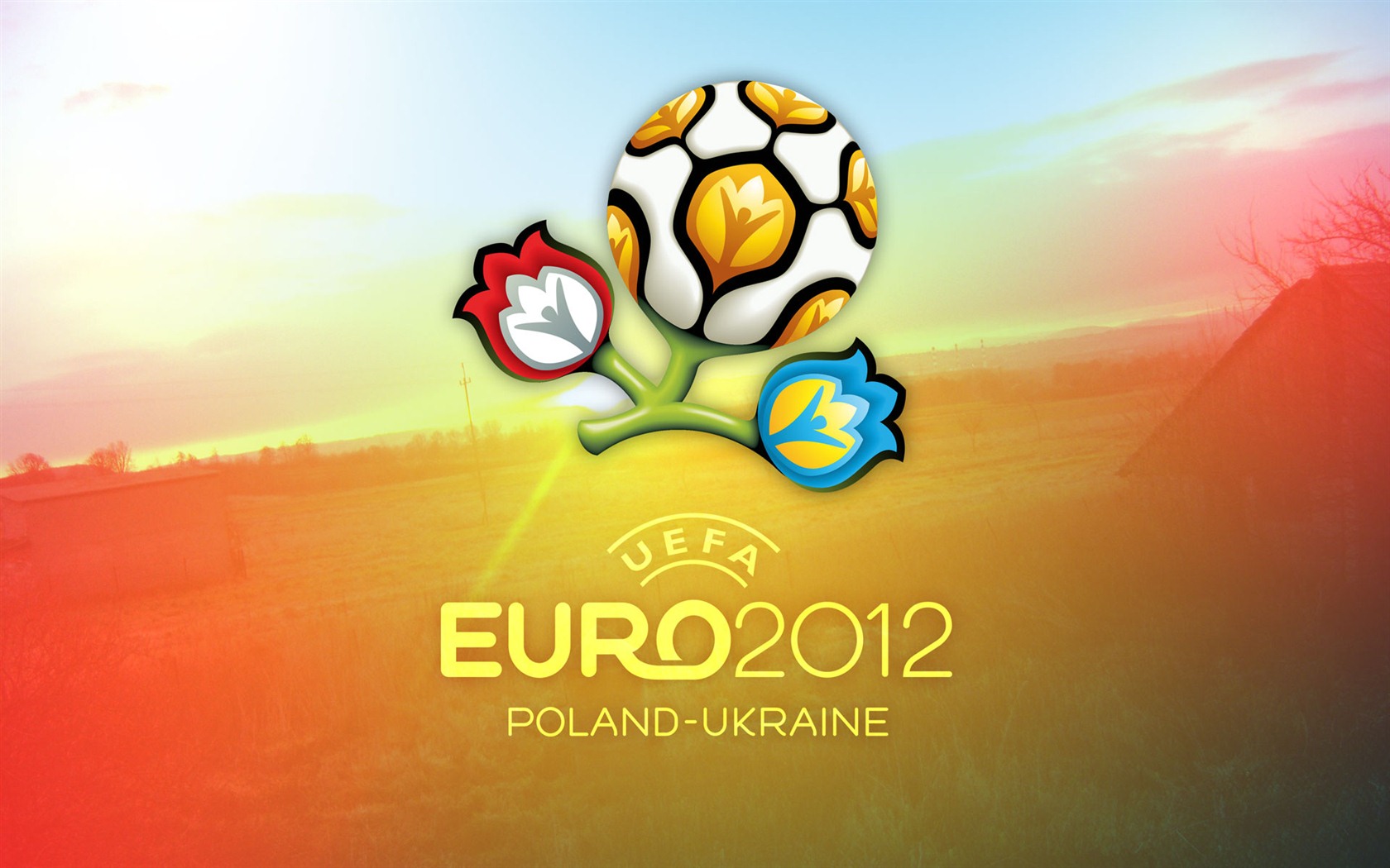 UEFA EURO 2012 HD Wallpaper (1) #1 - 1680x1050
