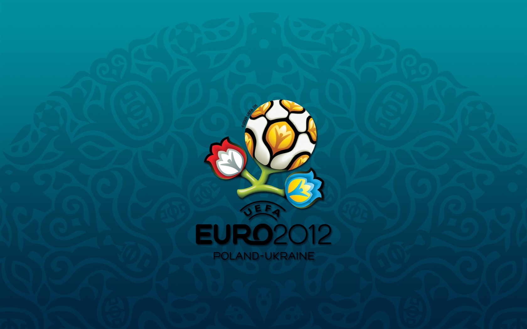 UEFA EURO 2012 欧洲足球锦标赛 高清壁纸(二)13 - 1680x1050