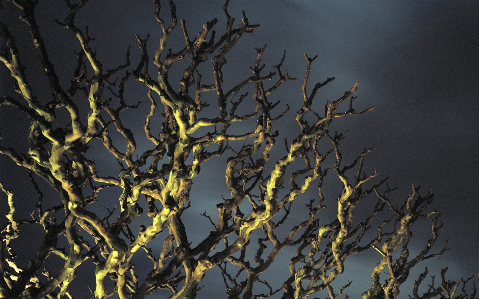 Windows 7 Tapety: Eerie podzim #4 - 1680x1050