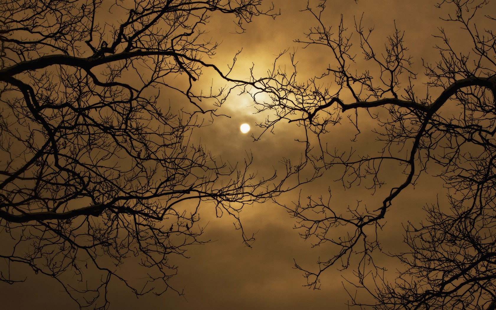 Windows 7 Wallpapers: Eerie Autumn #11 - 1680x1050