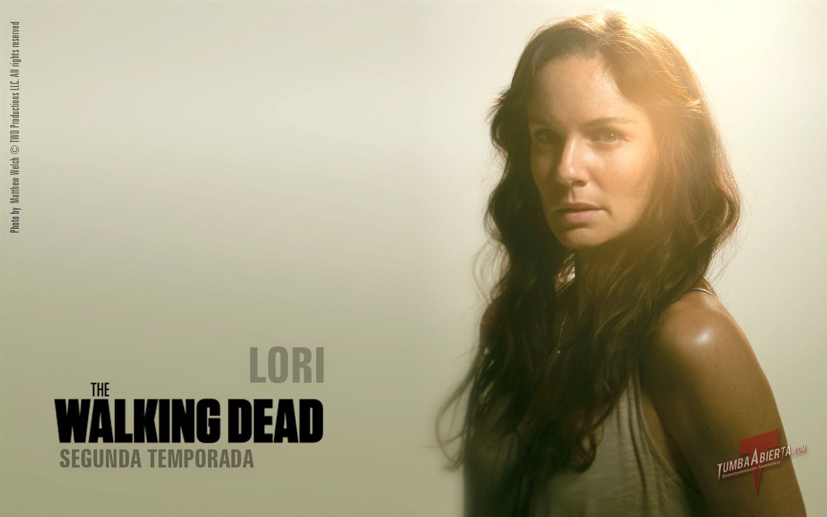 The Walking Dead HD Tapety na plochu #10 - 1680x1050