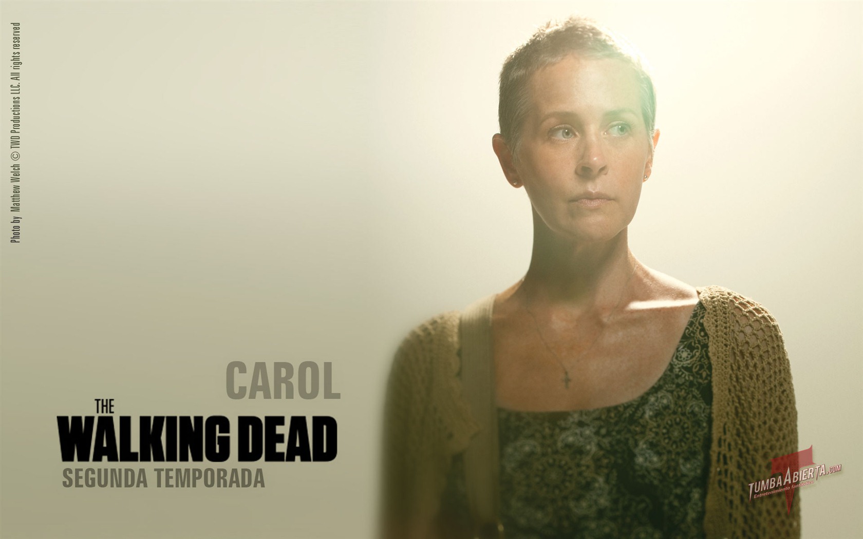 The Walking Dead HD wallpapers #21 - 1680x1050