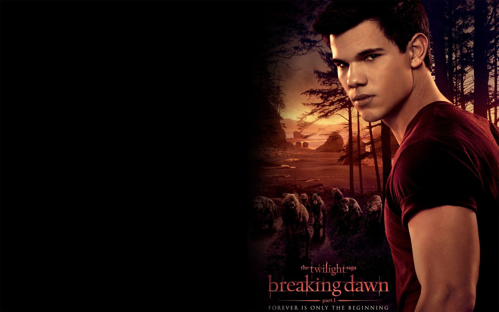 The Twilight Saga: Breaking Dawn HD Wallpaper #29 - 1680x1050