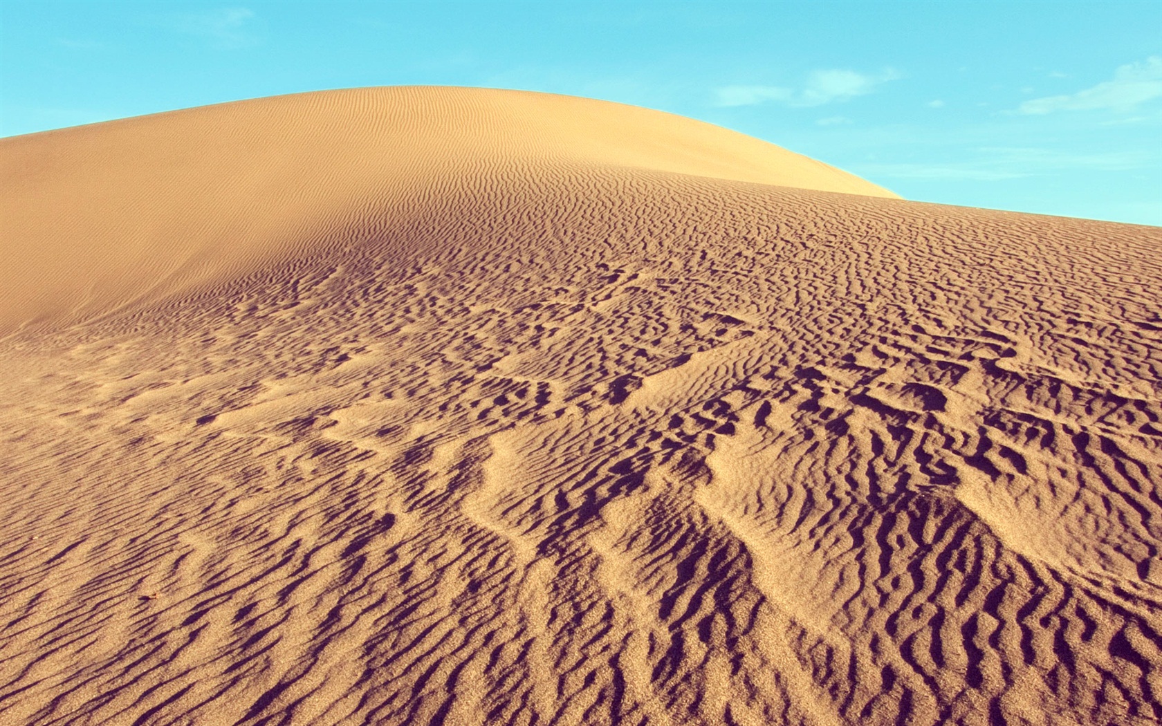 Windows 8 RTM版 官方高清壁紙 #8 - 1680x1050