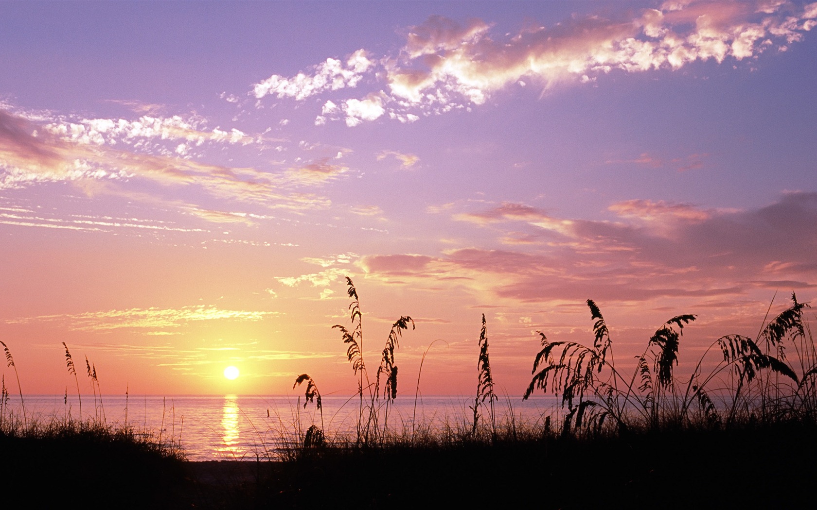 Windows 8の公式壁紙パノラマ、都市の景観、橋、ホライゾン #21 - 1680x1050