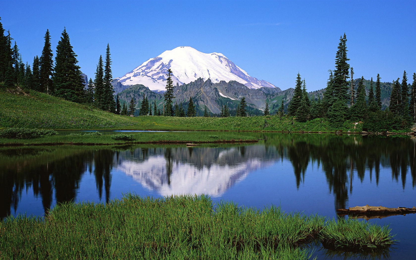 Windows 8 官方全景主题壁纸，海浪，森林，雄伟高山18 - 1680x1050