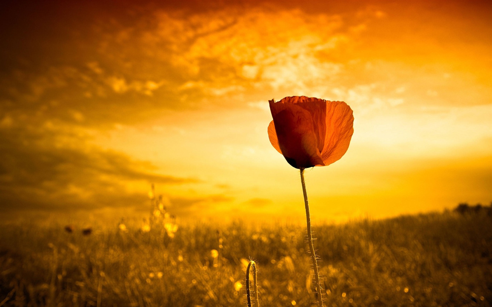 Ubuntu Linux system 2012 HD wallpapers #9 - 1680x1050