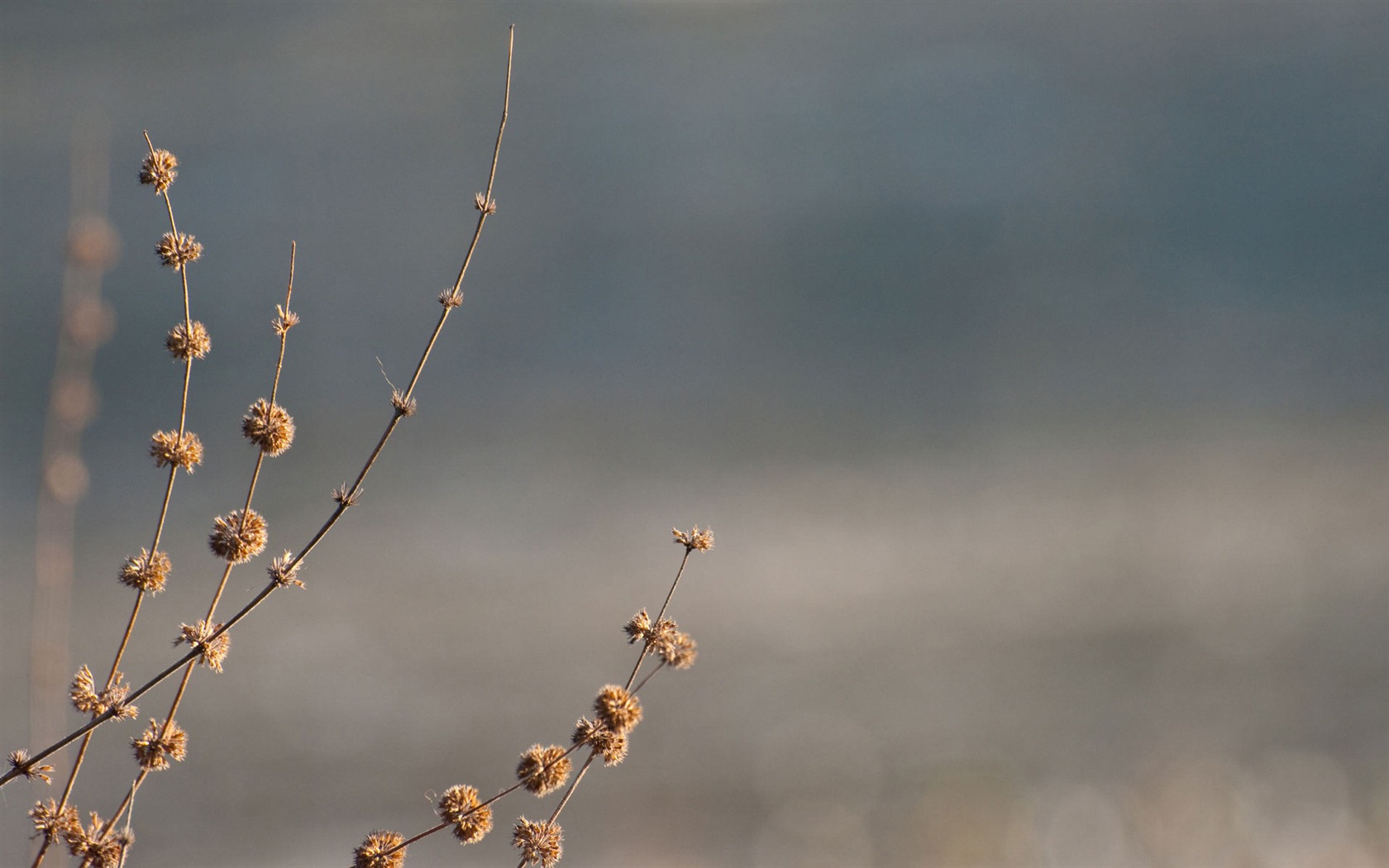 Ubuntu 烏班圖 Linux系統 2012 高清壁紙 #41 - 1680x1050