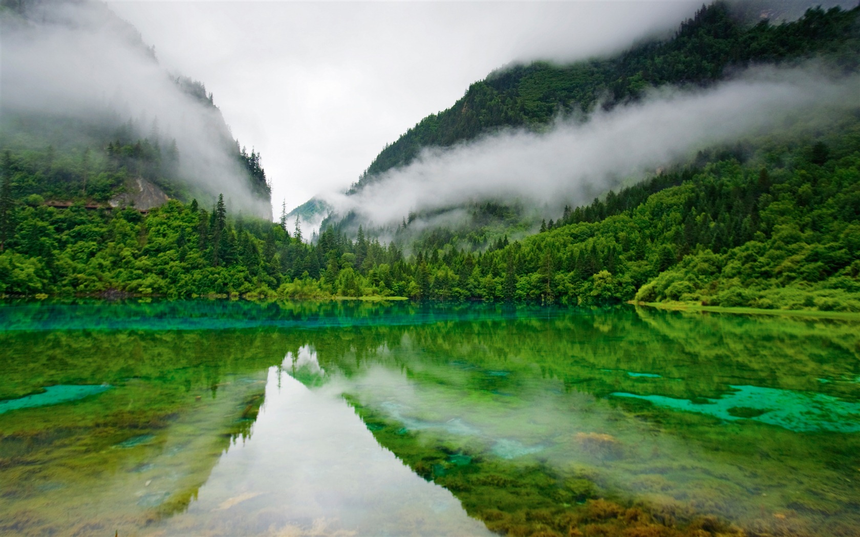 Mac OS X Mountain Lion 蘋果山獅系統隱藏的高清壁紙 #19 - 1680x1050