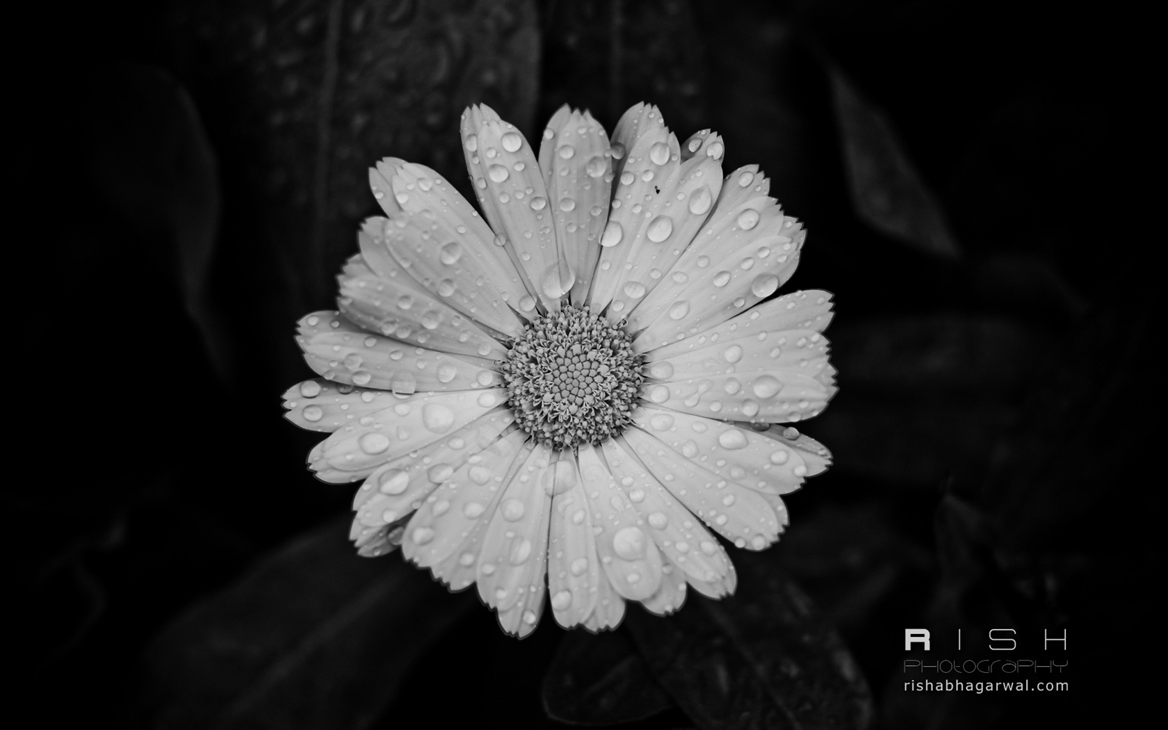 Windows 8 na plochu: Momenty Captured #12 - 1680x1050