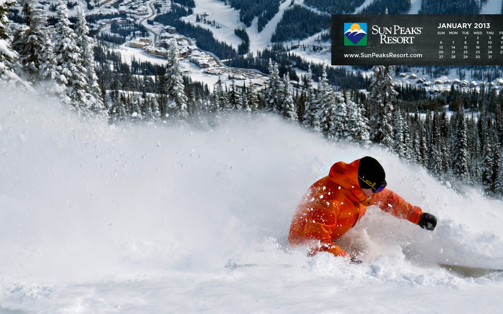 January 2013 Calendar wallpaper (2) #18 - 1680x1050