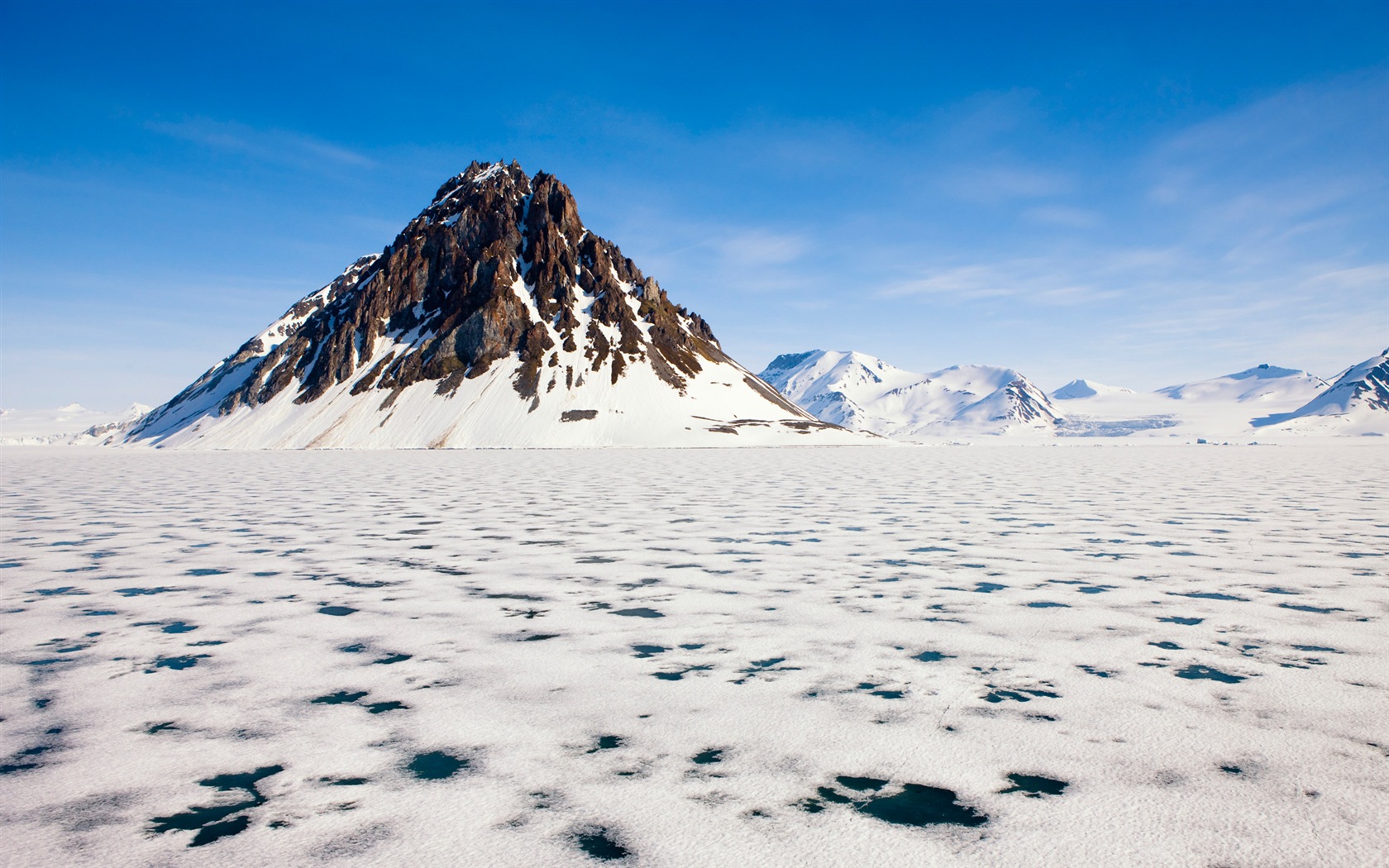 Windows 8 na plochu: Arctic, příroda ekologické krajiny, polární zvířata #1 - 1680x1050