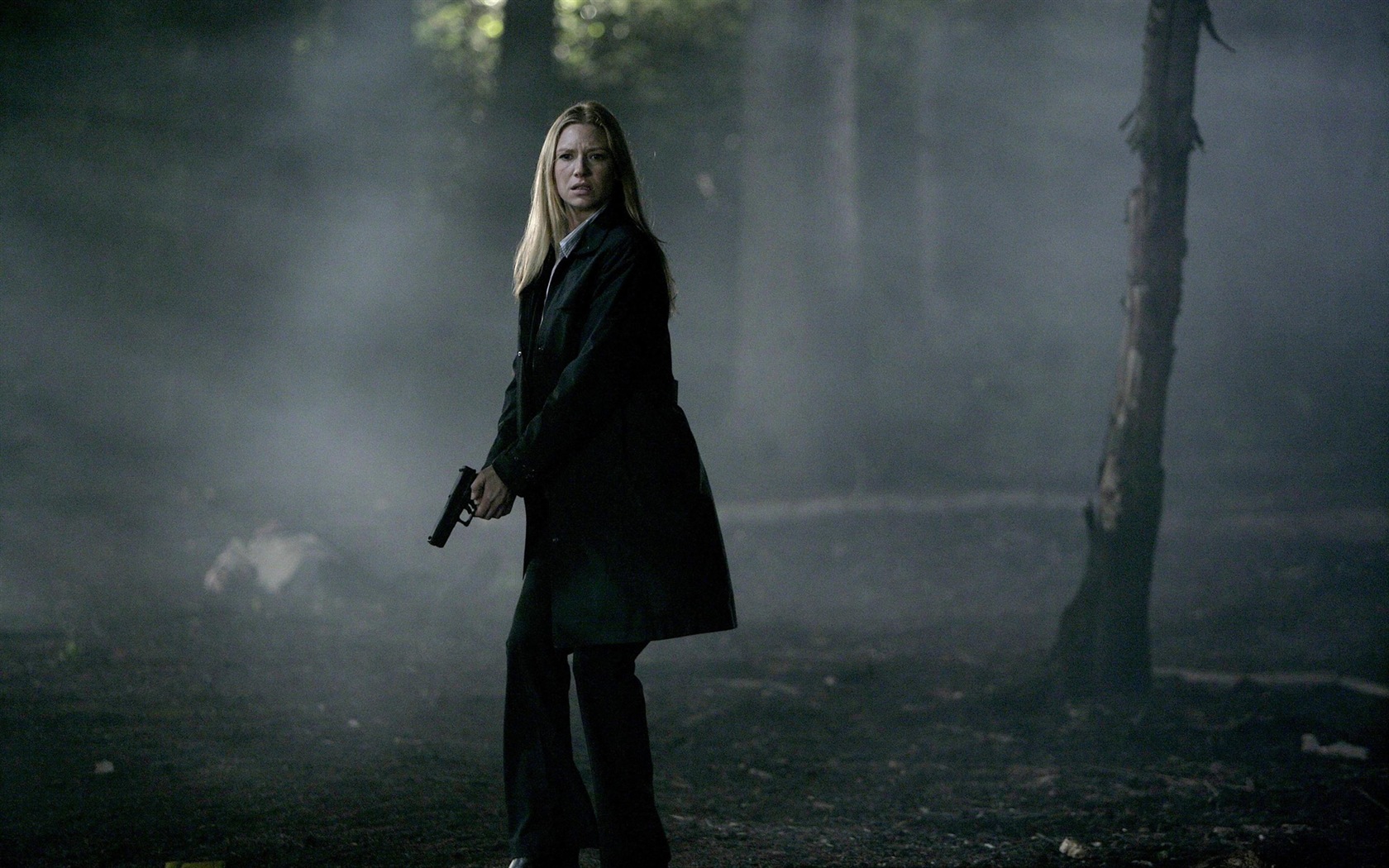 Anna Torv krásné Tapety na plochu #2 - 1680x1050