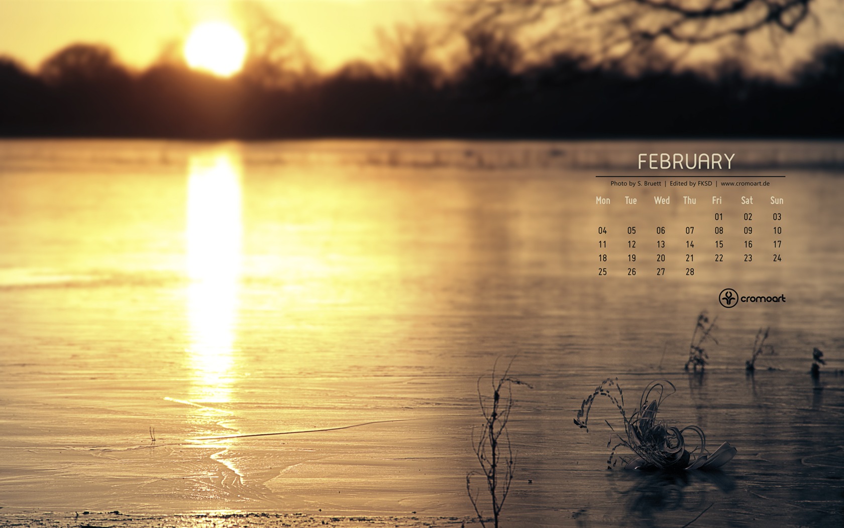 February 2013 Calendar wallpaper (2) #20 - 1680x1050