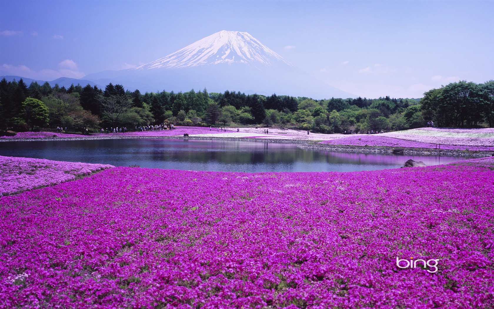 Microsoft Bing écran HD: Japonais papier peint thème du paysage #11 - 1680x1050