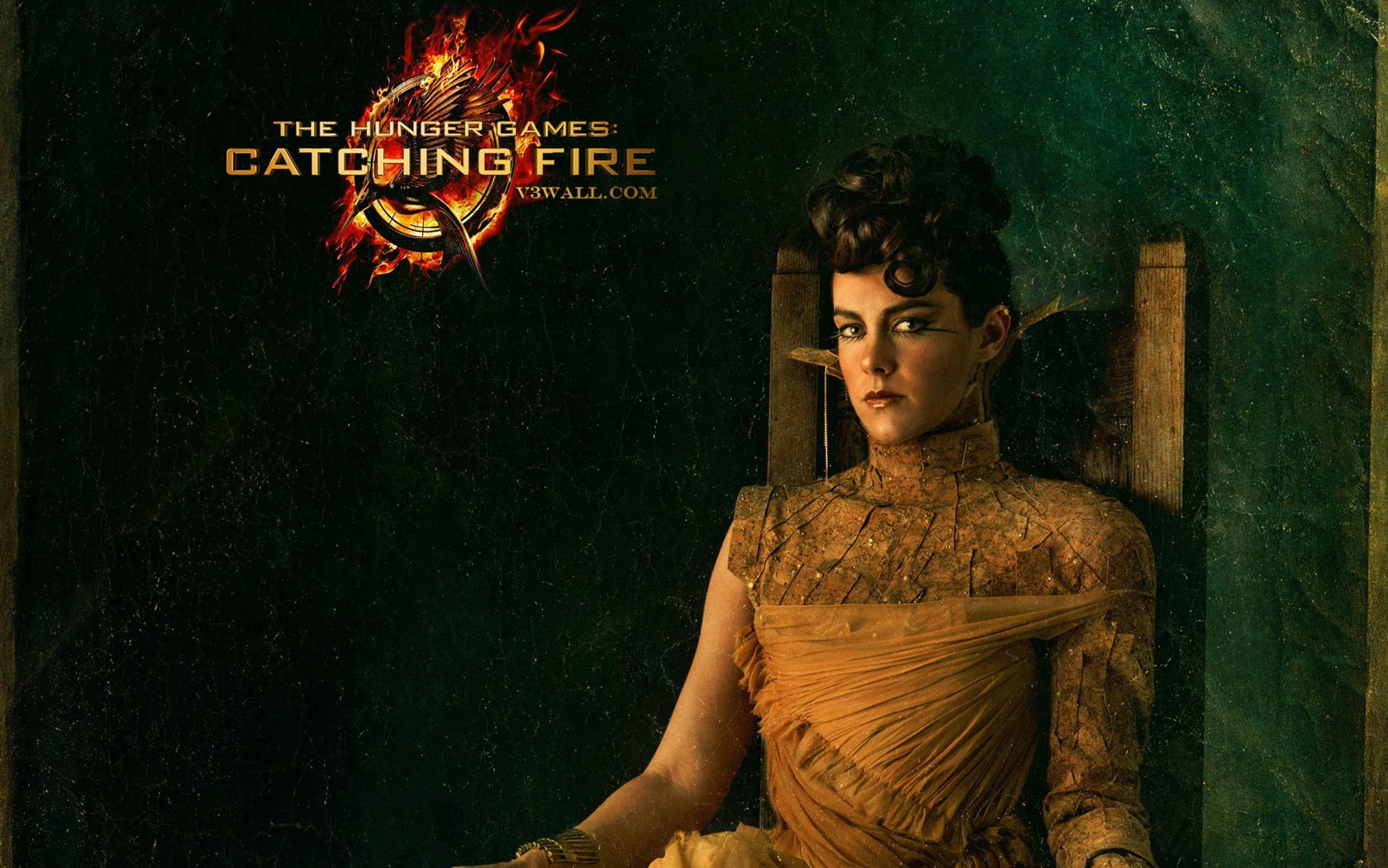 The Hunger Games: Catching Fire 饥饿游戏2：星火燎原 高清壁纸16 - 1680x1050