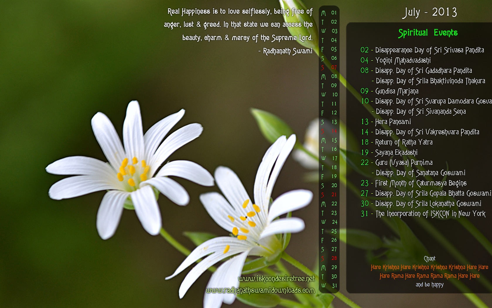 July 2013 calendar wallpaper (1) #9 - 1680x1050