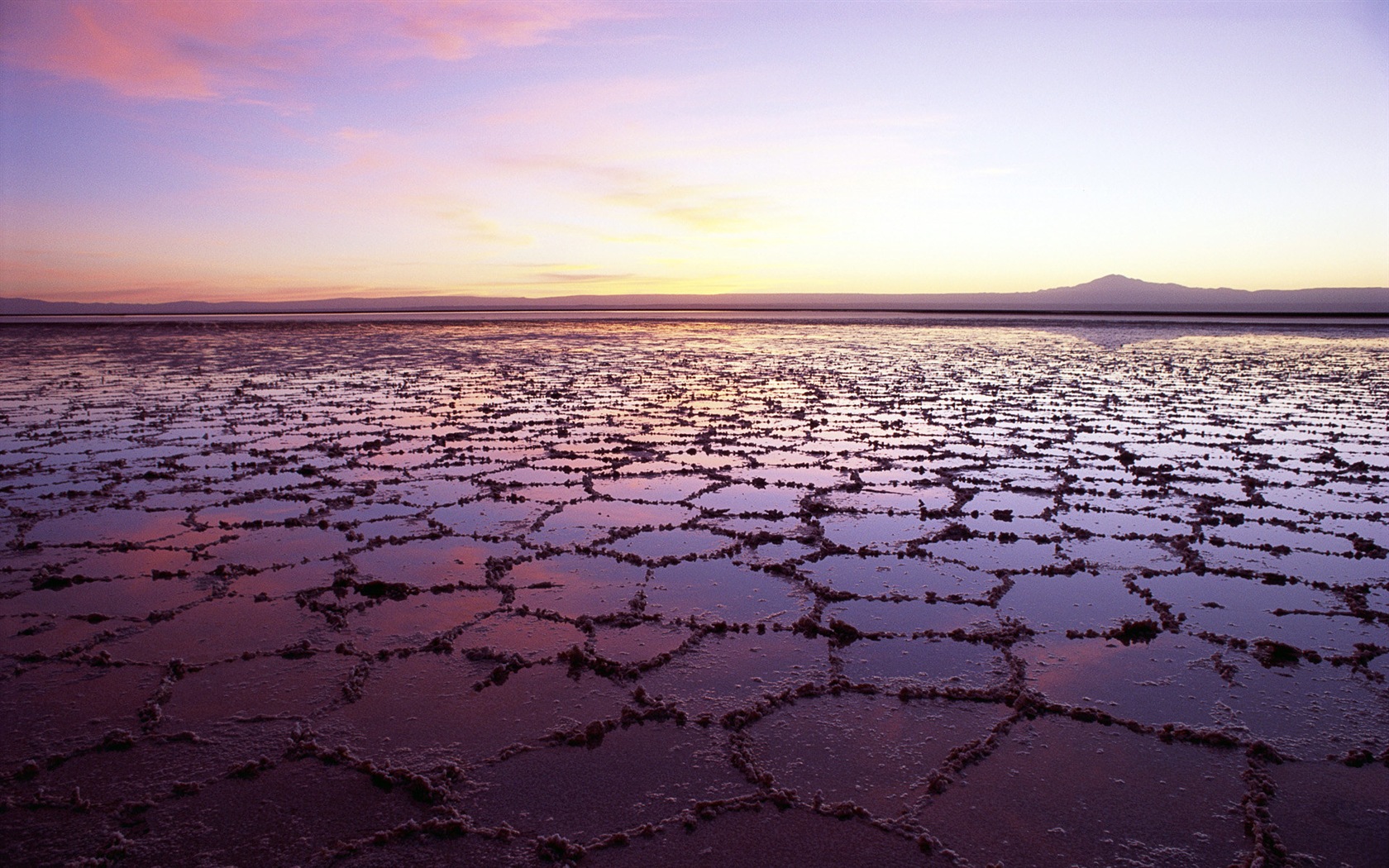 Dead Sea 死海美景 高清壁纸19 - 1680x1050