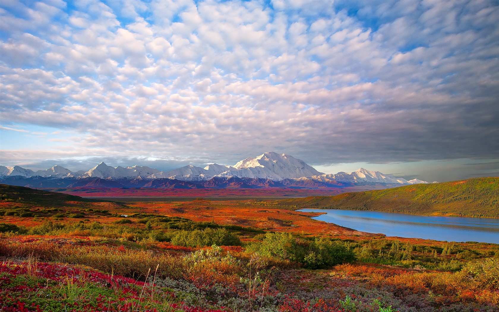 Denali National Park HD landscape wallpapers #1 - 1680x1050