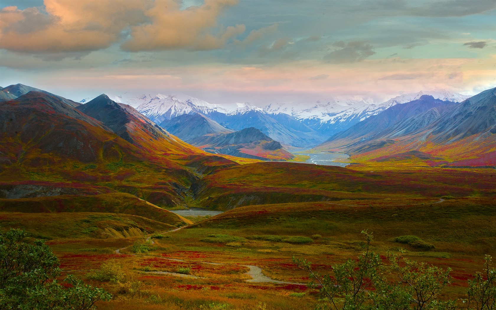 Denali National Park 迪納利國家公園 高清風景壁紙 #5 - 1680x1050